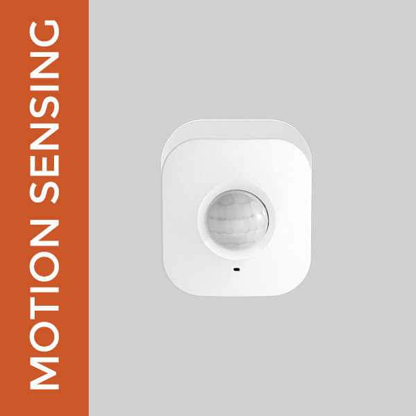 MOTION SENSING