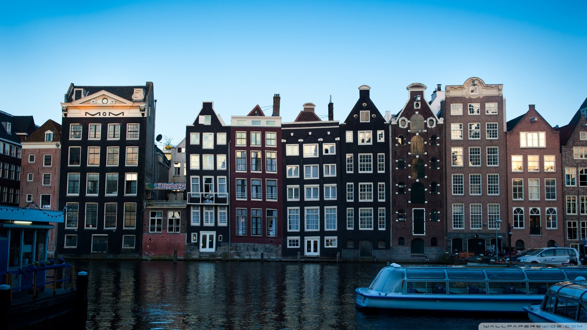 web design company in amsterdam