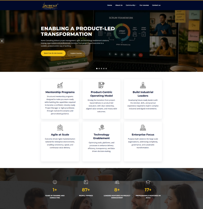 Aurex-consulting