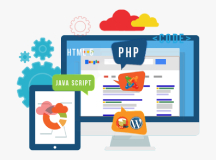 customized web development